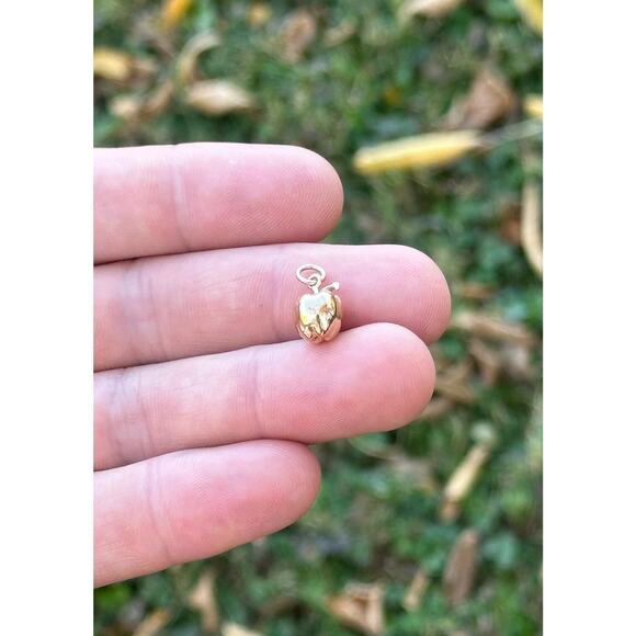 14K Gold Plated Necklace with Bronze Apple Charm - Picture 2 of 4